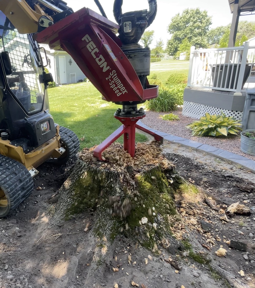 Stump removal with Fecon Stumpex